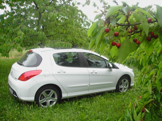 http://www.forum-peugeot.com/Forum/mesimages/9534/308 076.jpg
